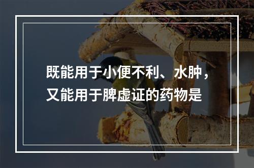 既能用于小便不利、水肿，又能用于脾虚证的药物是