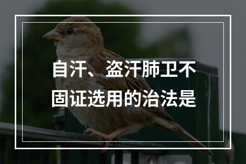 自汗、盗汗肺卫不固证选用的治法是