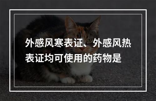 外感风寒表证、外感风热表证均可使用的药物是