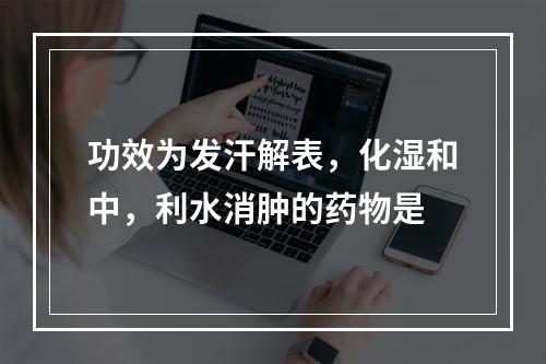 功效为发汗解表，化湿和中，利水消肿的药物是