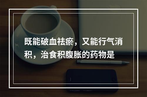 既能破血祛瘀，又能行气消积，治食积腹胀的药物是