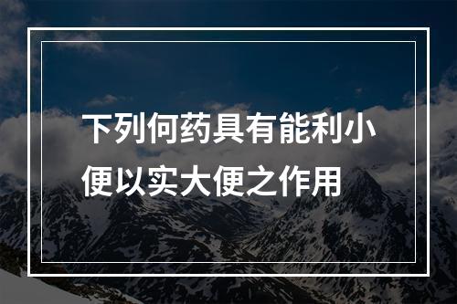 下列何药具有能利小便以实大便之作用