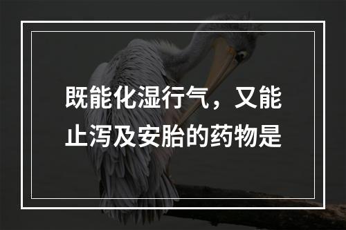 既能化湿行气，又能止泻及安胎的药物是