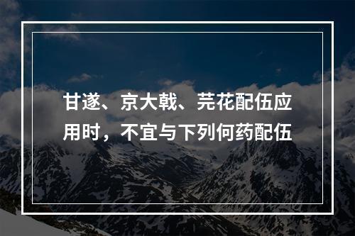 甘遂、京大戟、芫花配伍应用时，不宜与下列何药配伍