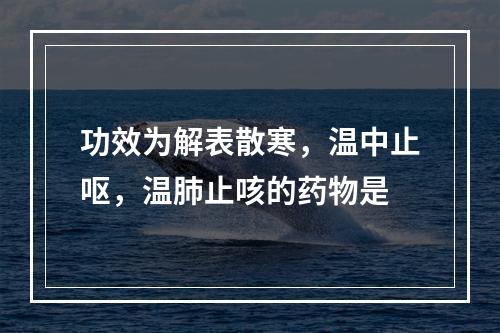 功效为解表散寒，温中止呕，温肺止咳的药物是