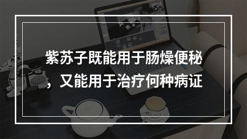 紫苏子既能用于肠燥便秘，又能用于治疗何种病证