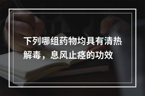 下列哪组药物均具有清热解毒，息风止痉的功效