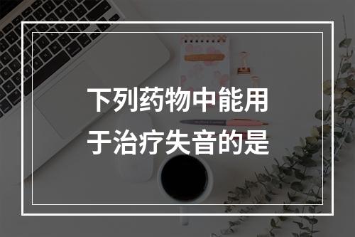 下列药物中能用于治疗失音的是