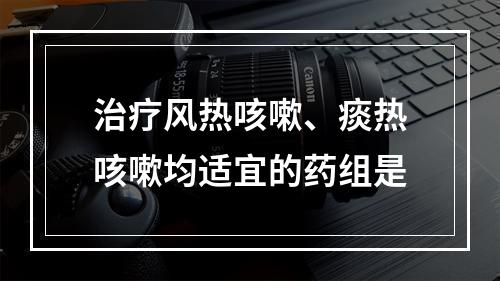 治疗风热咳嗽、痰热咳嗽均适宜的药组是