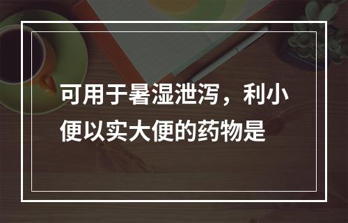 可用于暑湿泄泻，利小便以实大便的药物是