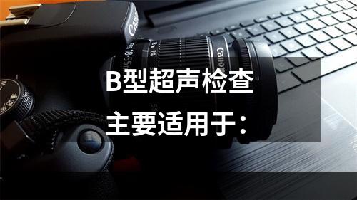 B型超声检查主要适用于：