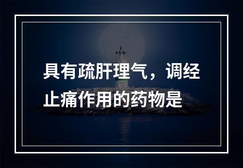 具有疏肝理气，调经止痛作用的药物是