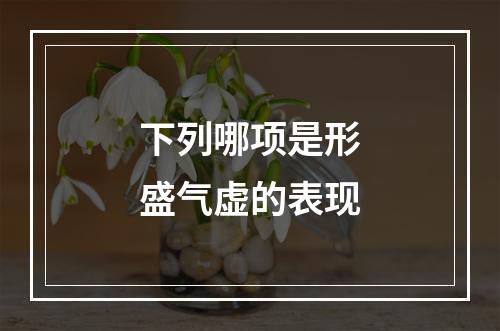 下列哪项是形盛气虚的表现