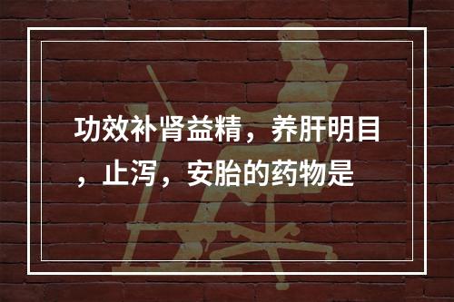 功效补肾益精，养肝明目，止泻，安胎的药物是