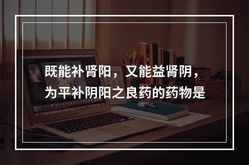 既能补肾阳，又能益肾阴，为平补阴阳之良药的药物是