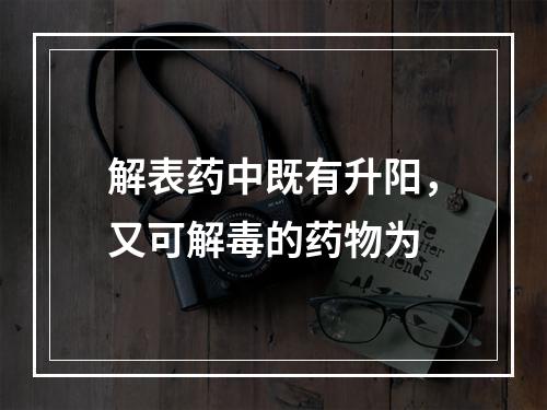 解表药中既有升阳，又可解毒的药物为