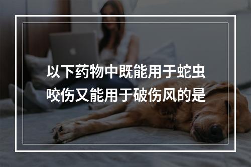 以下药物中既能用于蛇虫咬伤又能用于破伤风的是