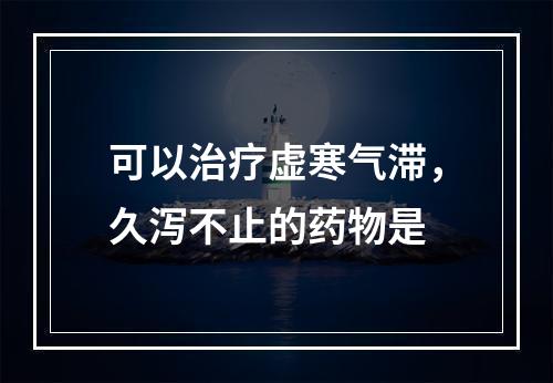 可以治疗虚寒气滞，久泻不止的药物是