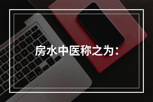 房水中医称之为：