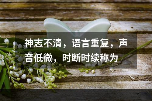 神志不清，语言重复，声音低微，时断时续称为