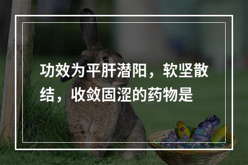 功效为平肝潜阳，软坚散结，收敛固涩的药物是