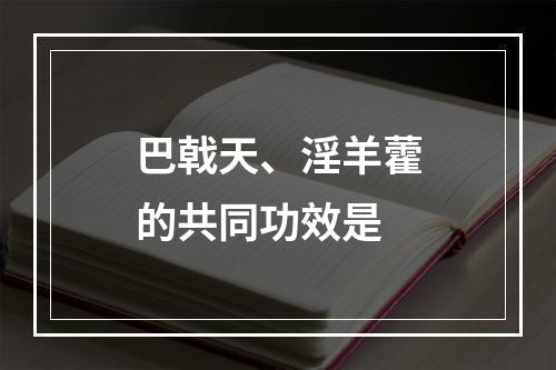 巴戟天、淫羊藿的共同功效是