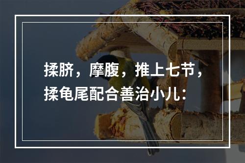 揉脐，摩腹，推上七节，揉龟尾配合善治小儿：