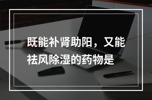 既能补肾助阳，又能祛风除湿的药物是