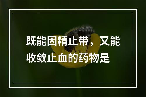 既能固精止带，又能收敛止血的药物是