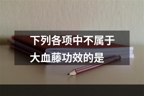 下列各项中不属于大血藤功效的是