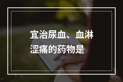 宜治尿血、血淋涩痛的药物是