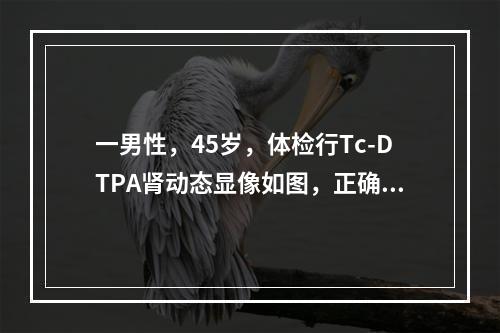 一男性，45岁，体检行Tc-DTPA肾动态显像如图，正确的诊