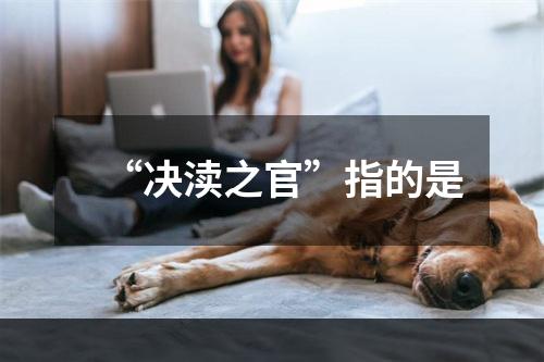 “决渎之官”指的是