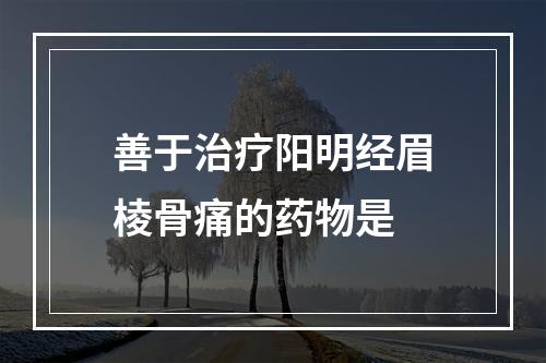 善于治疗阳明经眉棱骨痛的药物是