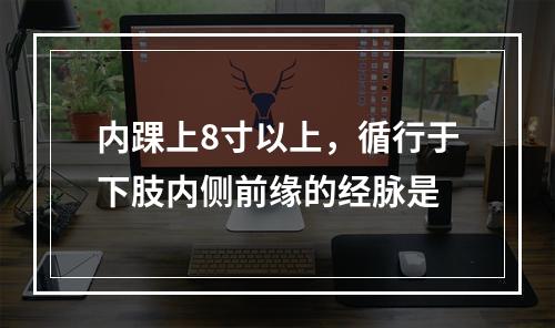 内踝上8寸以上，循行于下肢内侧前缘的经脉是