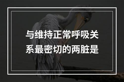 与维持正常呼吸关系最密切的两脏是