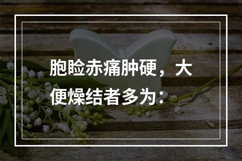 胞睑赤痛肿硬，大便燥结者多为：