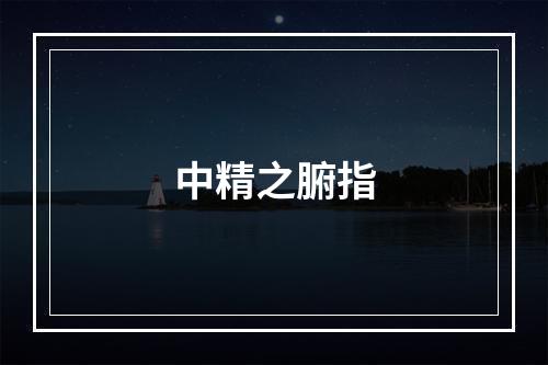 中精之腑指