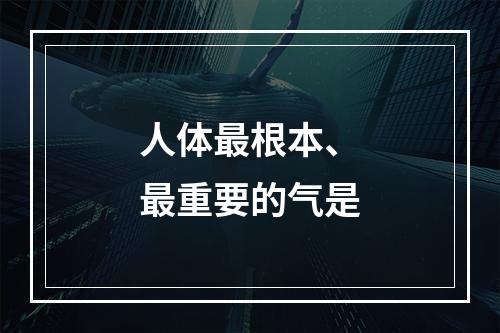 人体最根本、最重要的气是