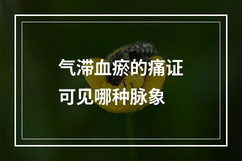 气滞血瘀的痛证可见哪种脉象