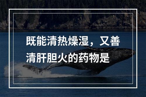 既能清热燥湿，又善清肝胆火的药物是