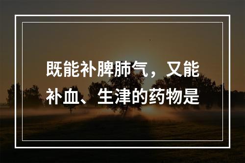 既能补脾肺气，又能补血、生津的药物是