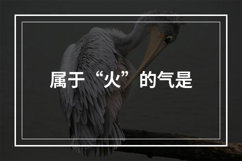 属于“火”的气是