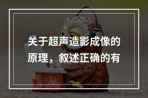 关于超声造影成像的原理，叙述正确的有