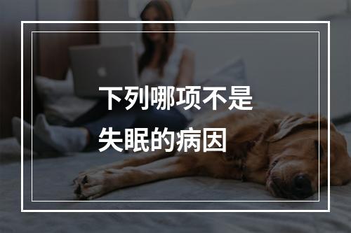 下列哪项不是失眠的病因