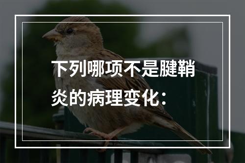 下列哪项不是腱鞘炎的病理变化：