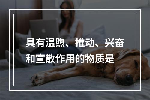 具有温煦、推动、兴奋和宣散作用的物质是