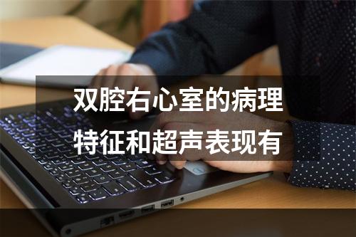 双腔右心室的病理特征和超声表现有