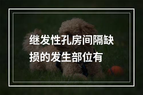 继发性孔房间隔缺损的发生部位有