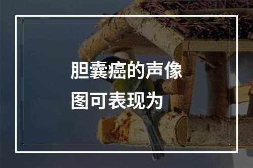 胆囊癌的声像图可表现为